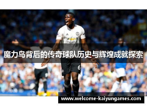 魔力鸟背后的传奇球队历史与辉煌成就探索